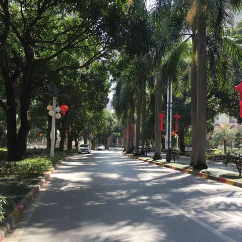 钟江（赣医）的美篇