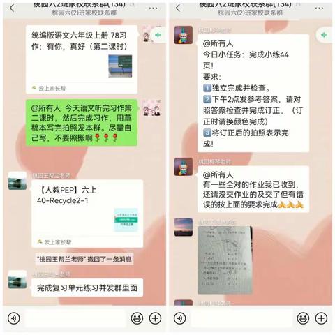疫情防控有担当，居家学习促成长——湖滨小学桃园校区小学六年级2班线上学习