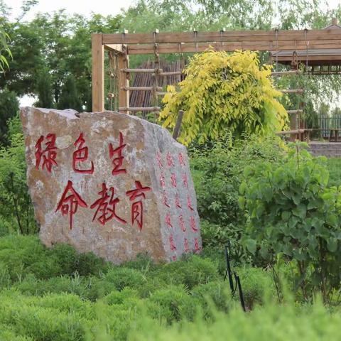 《赴全力，喜迎评，促发展》——碱幼晋级自治区示范园初评检查工作