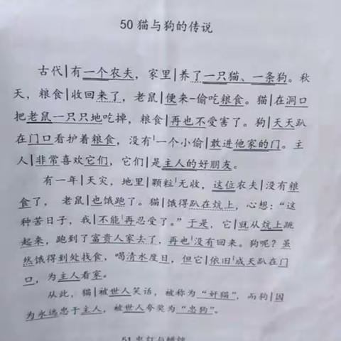 张凤阳同学在家阅读《猫与狗的传说》2020.9.6.