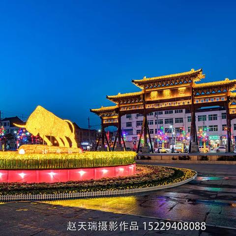 赵天瑞《2021礼泉夜景》摄影作品分享