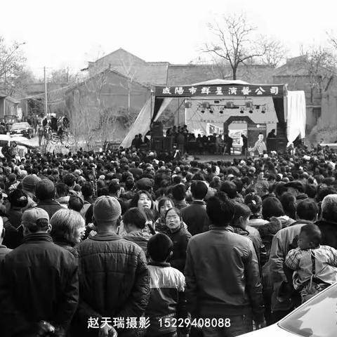 二月二龙抬头，逛礼泉尧都二月会图记（10年前后对比）