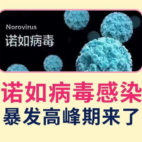 科学防治，警惕诺如病毒—西安市高陵区第四中学教育集团预防诺如病毒知识宣传