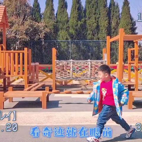 壹号公馆幼儿园京智一班快乐周记——【收集快乐    记录美好】