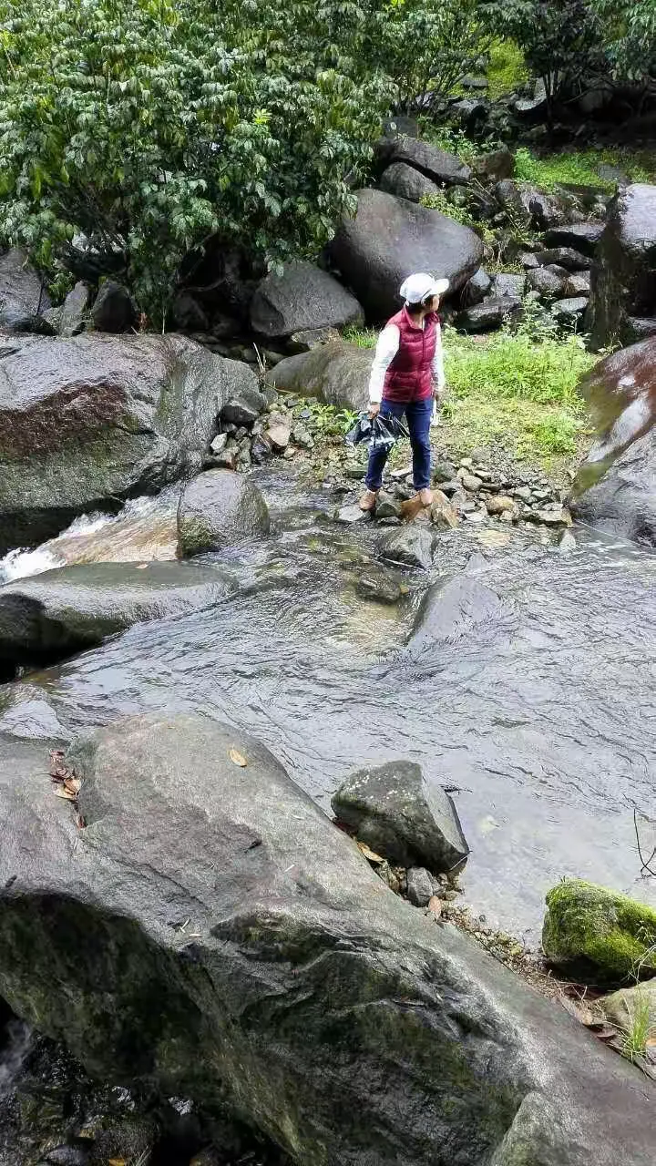 爬山涉水