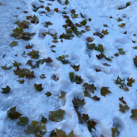 2021年冬天的第一场雪，我们一起嗨起来！