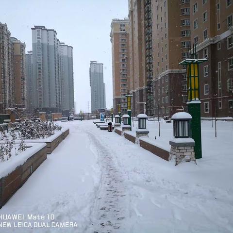 大地飘雪