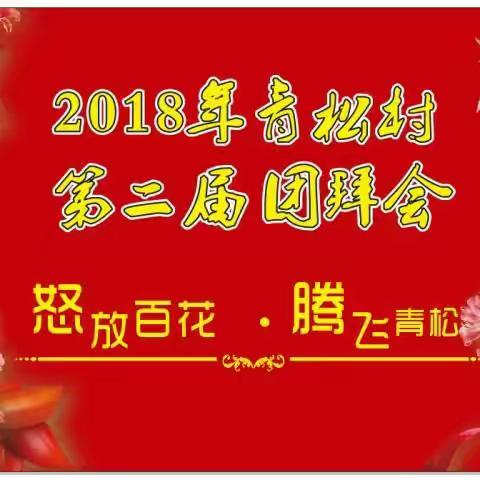 青松村第二届团拜会