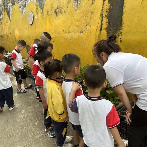 繁花四月，爱上幼儿园—朵A班