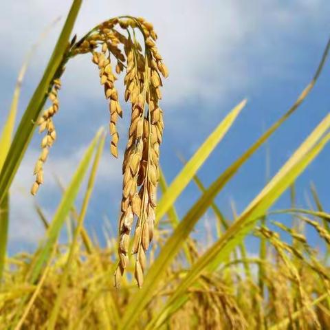 湘潭县石潭镇中心小学179班璞玉中队――遇见快乐的你们