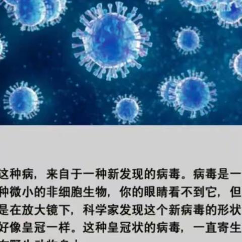 青华幼儿园《孩子在家也能学习的新冠病毒防控知识》