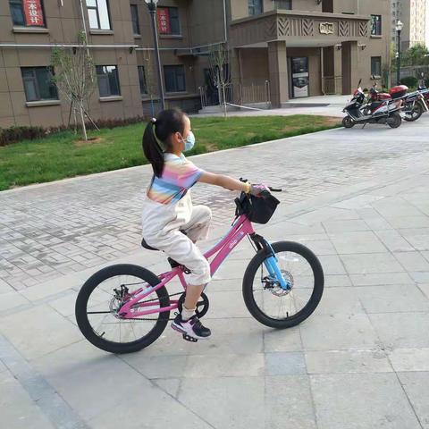 “停课不停学，成长不延期”——记晋师附小二（2）班王子心一日所学汇报