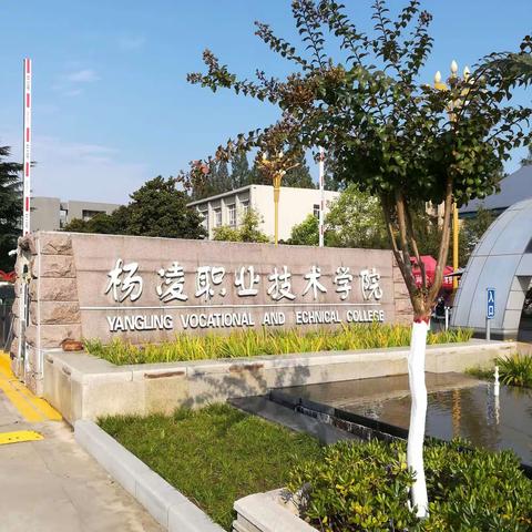 陕西省农林学校，八一级312班聚会母校，精 彩 瞬 间