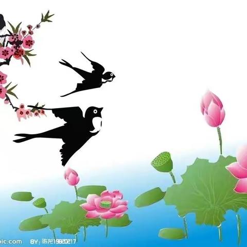 苗店寄宿学校集体备课——资源共享，凝聚集体智慧