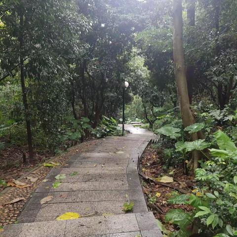 深圳印象（二）