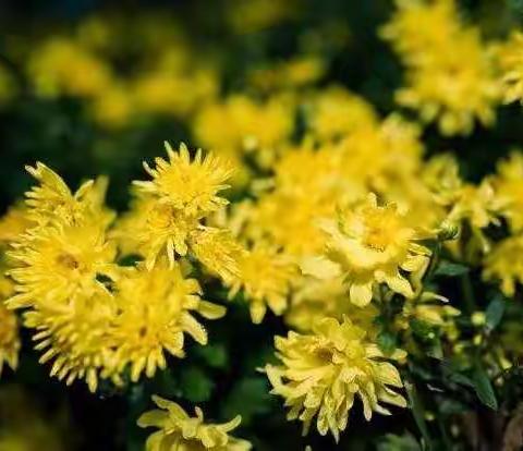 泽成物业2022年9月份月度工作报告