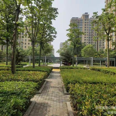 泽成物业2021年10月份物业服务月报