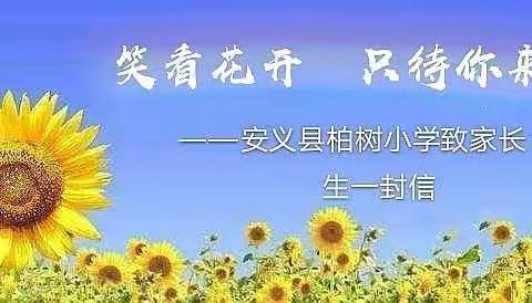 情满初夏  只待你来——柏树小学2020年春季返校复学工作致家长一封信