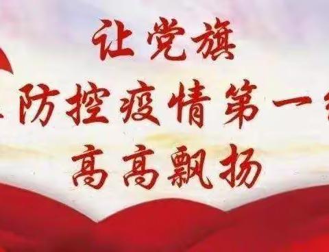 青年教师突击队 防疫直击勇担当——鼎湖镇中心学校组织青年党员与教师协助社区开展防疫工作