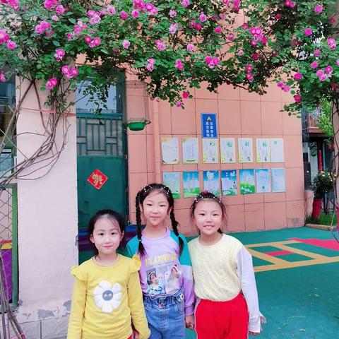 桔子的美篇