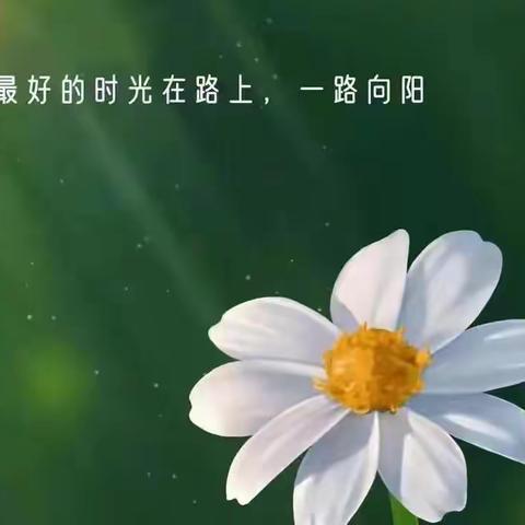 期中考试再回首   线上师生共成长——新戴河初中七年级教育教学系列之十七