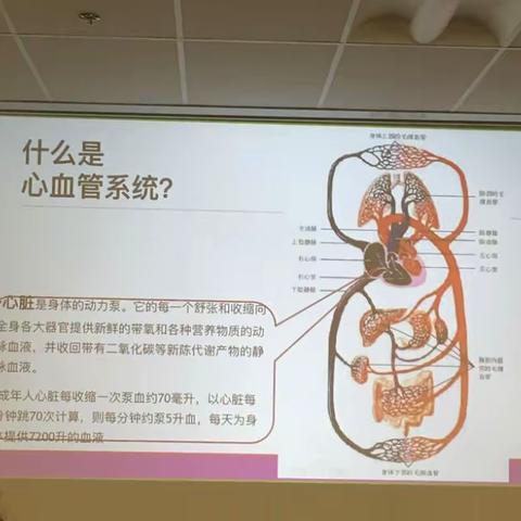 心血管发作治疗与护理