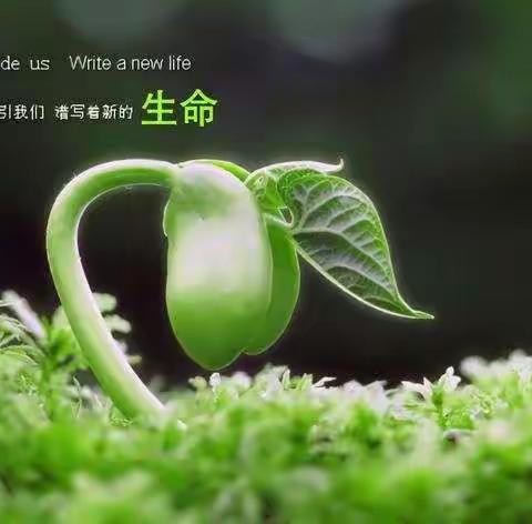 积极生活 充盈人生——记嘉联学校2022年生命教育月活动