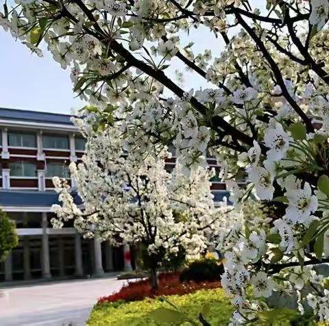 枣庄市实验学校线上教学期间二年级学生学习生活指导