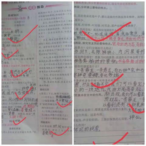 小手拉大手，居家防疫比比看——丛台区刘二庄小学居家防疫系列活动之“评优秀作业 ，展学生风采”