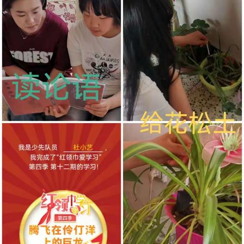 东胜区纺织苑小学中华优秀传统文化推进工作 六一班读论语 给花松土