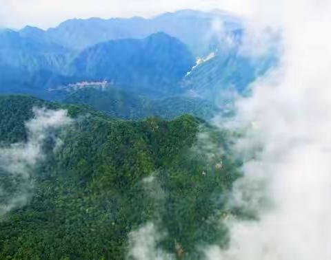 欢迎您到杨岭来