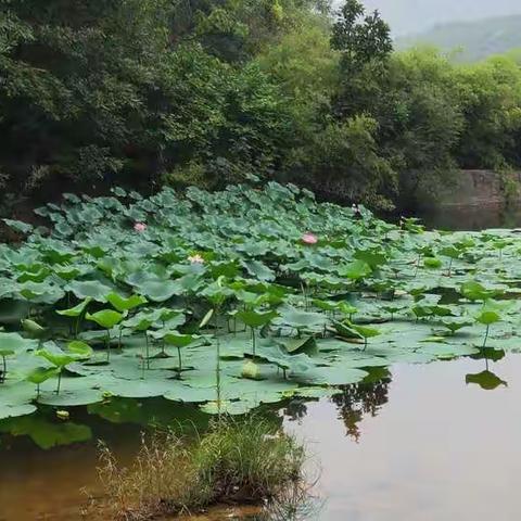 美好时光的美篇（副本）