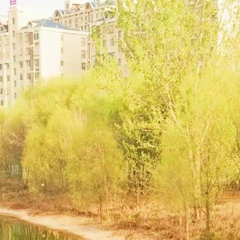 你的一生 我只借一程