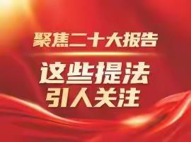 聚焦二十大报告