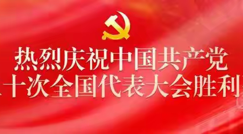 二十大报告金句