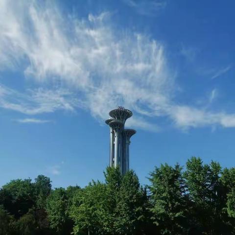 【随手札记】反转反转再反转