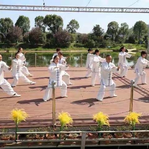 区太极拳协会邮政太极队参加湖南邮政集团衡阳分公司​“喜迎重阳，情浓邮政”主题活动