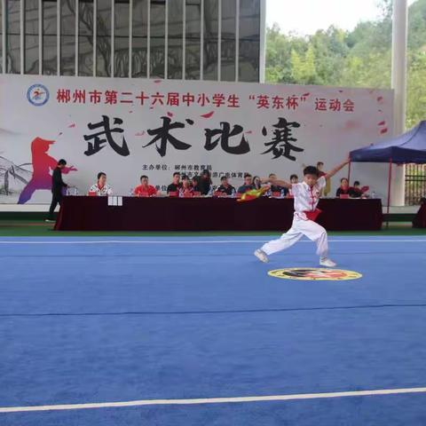 以武会友   薪火相传——第26届“英东杯”市运会武术比赛圆满结束