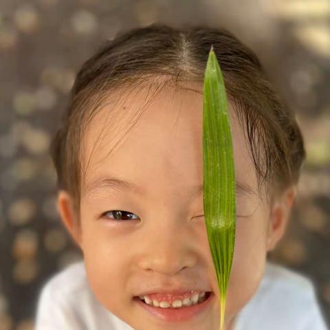 对话八月（二）叶子里的小秘密