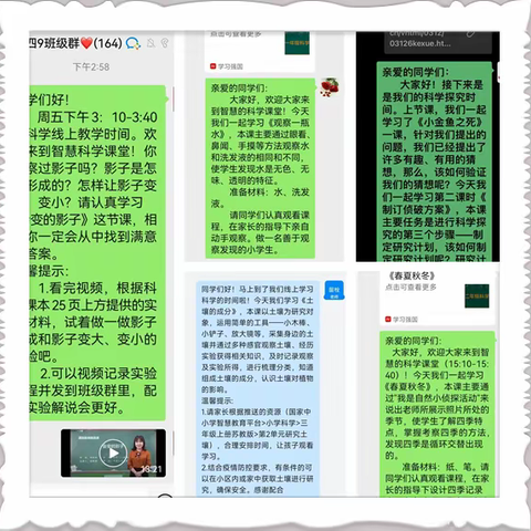 🍀【和美课堂 相聚云端】📚漯河小学线上教学专业学科系列活动（五）科学特色作业篇