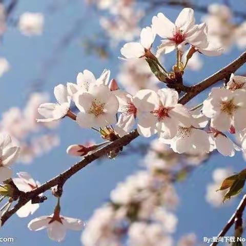 感受文字之美，尽享书写之乐——临沂光耀实验学校二年级语文组硬笔书法比赛活动