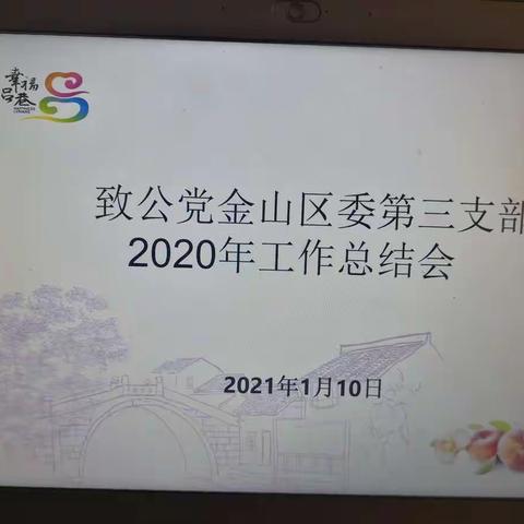 致公党金山区委第三支部2020总结会