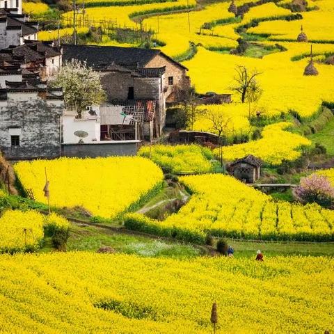 齐聚婺源，相约名师———记教育新视野•第十二届全国小学英语名师教学观摩活动
