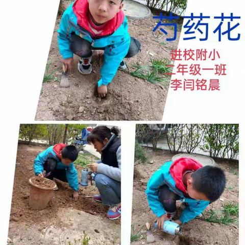“种植花草，爱绿护绿”二年级社会实践活动