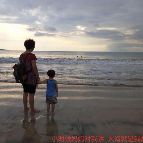 大海啊 故乡