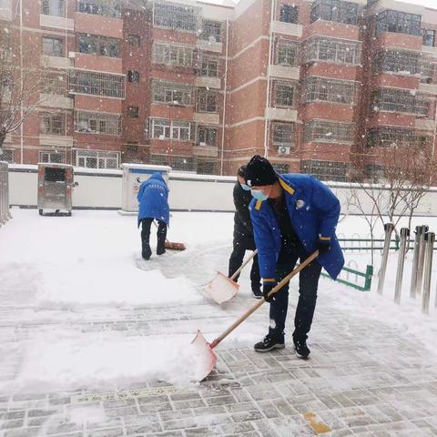 新时代文明实践 | 银装素裹庆冬奥 铲冰除雪保安全——格兰山水二期南区社区新时代文明实践站