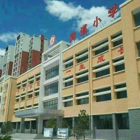 不忘初心奋进新时代——同道小学党支部学习贯彻十九大