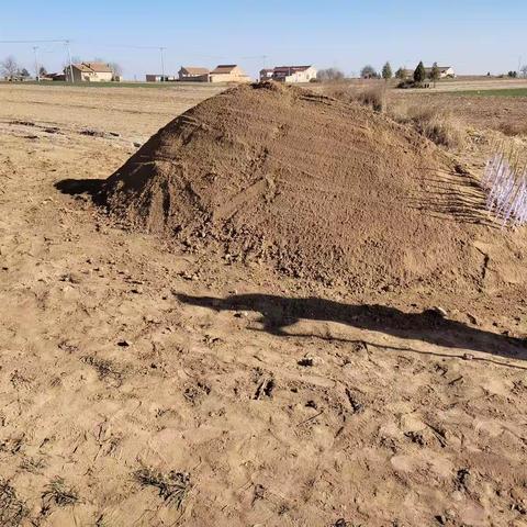 别去春天的亲人