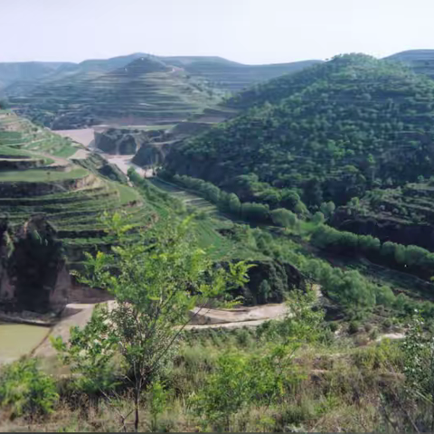 为了这一方绿水青山（七）