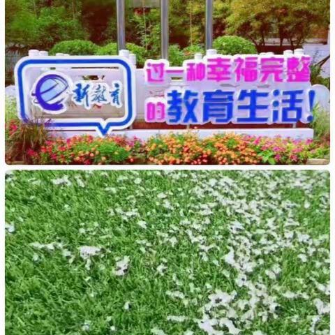 冬天的味道——西工区金谷园小学二年级十二月语文主题学科融合课程！